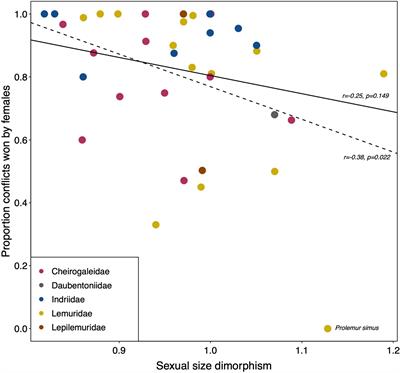 The Island of Female Power? Intersexual Dominance Relationships in the Lemurs of Madagascar